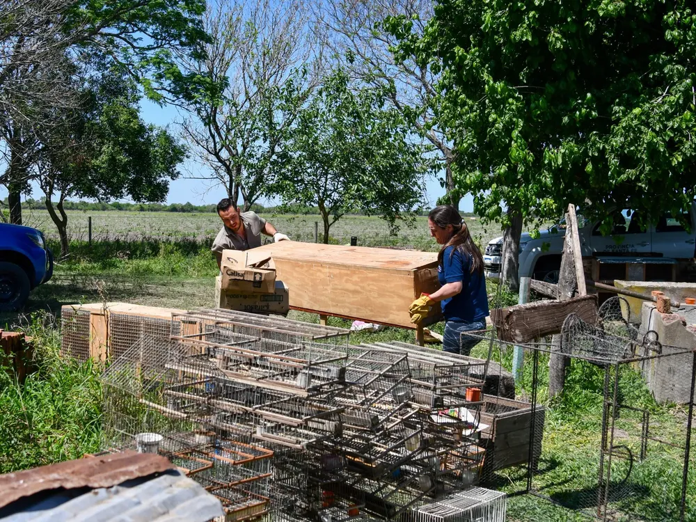 2024-10-11NID_281415O_5