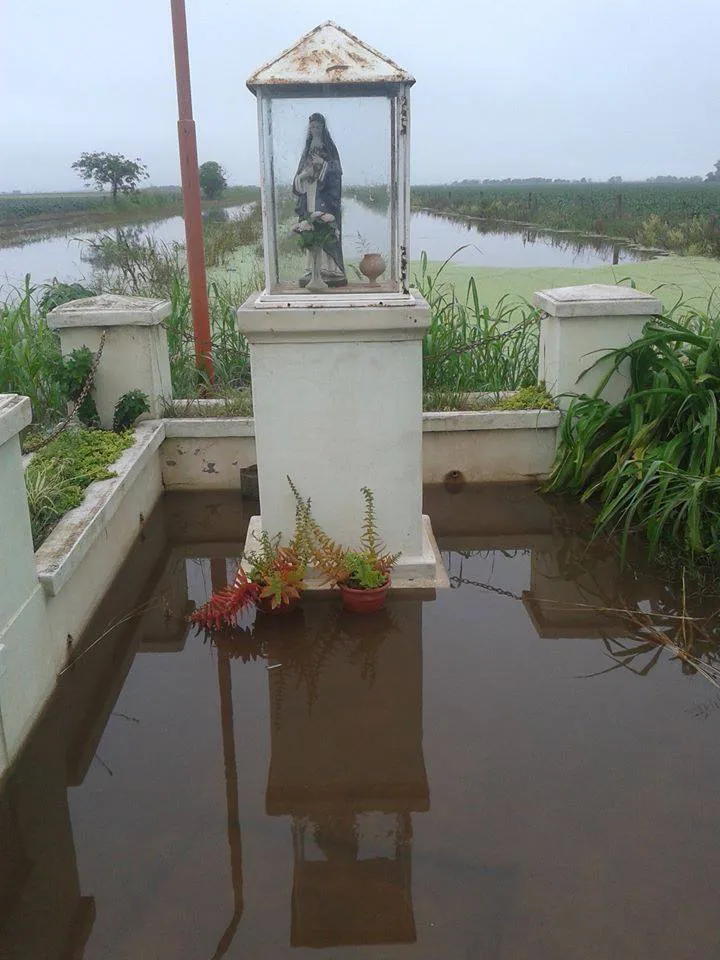 13012850_1125969467463449_2914856418631487376_n