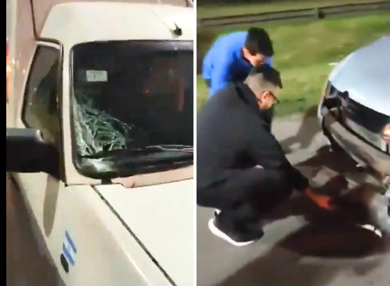 Copia de Huerta de Otoño