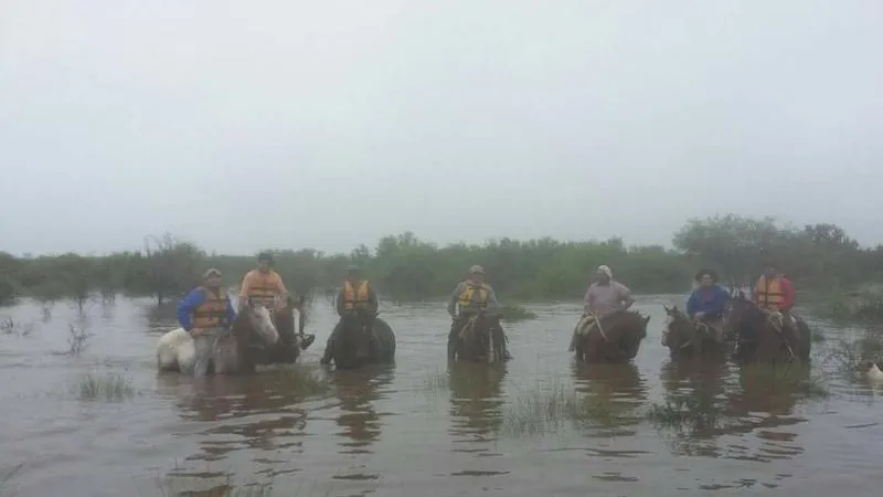 FB_IMG_1460680234009