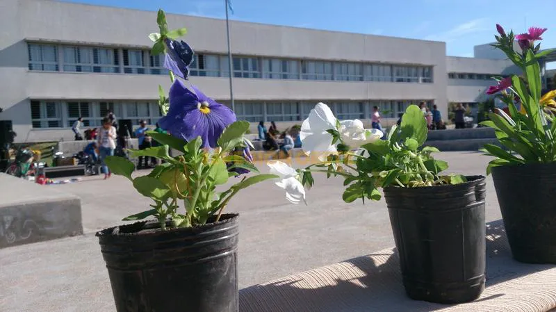 Plazoleta Silvia Suppo (7)