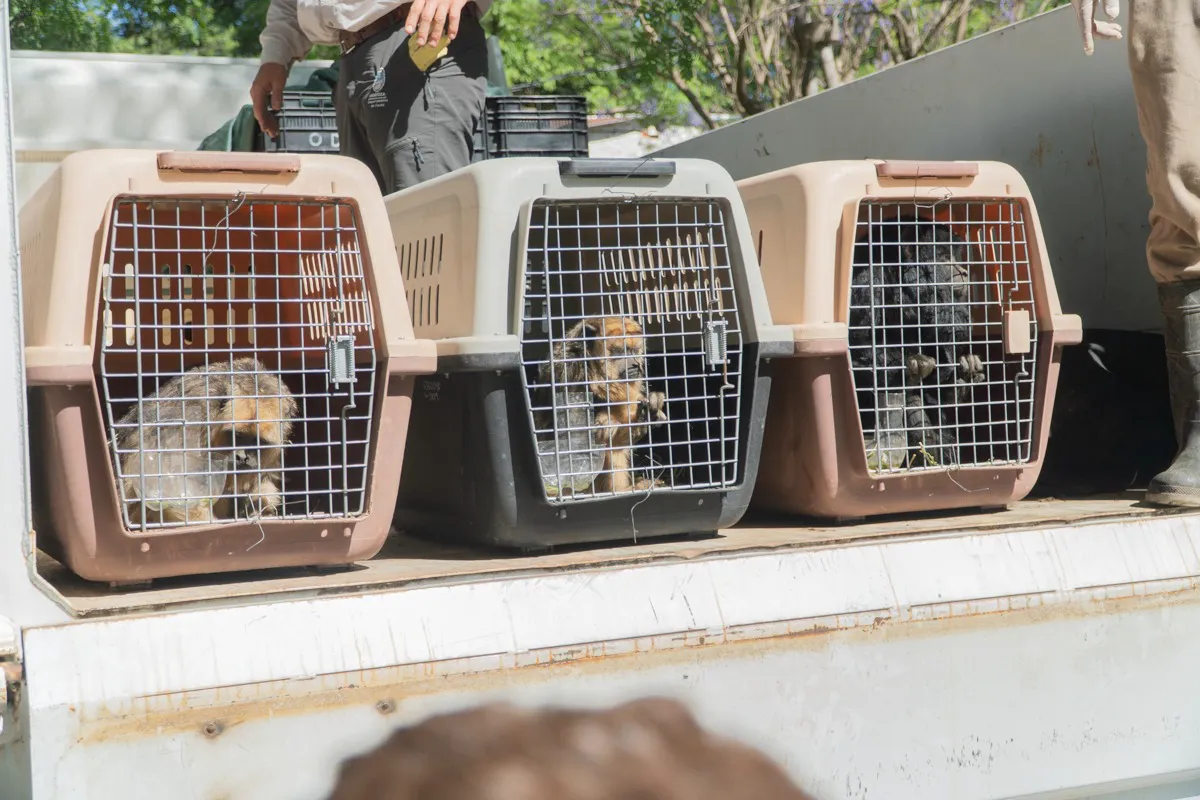 2024-11-17NID_281710O_5