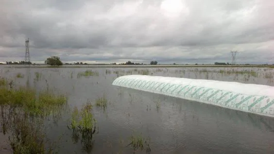 12987111_606962696122189_7455321836229029153_n_1_0