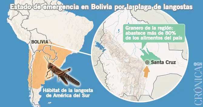 Plaga Langostas