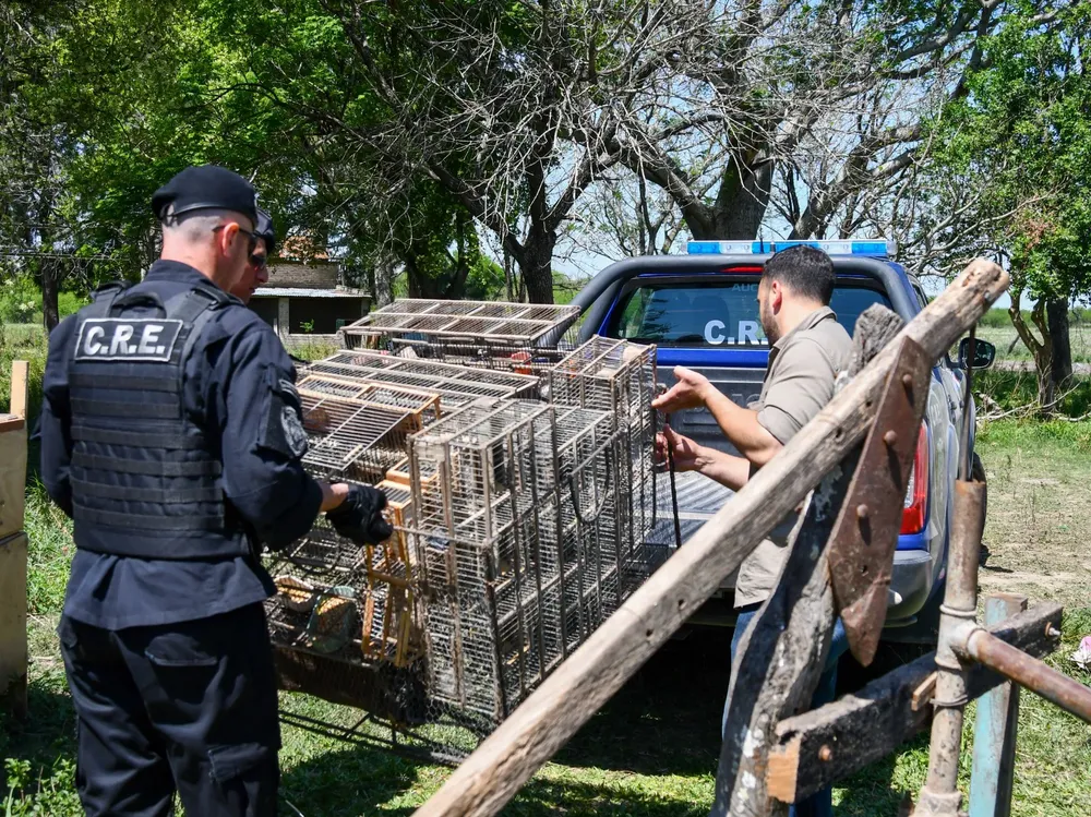 2024-10-11NID_281415O_1