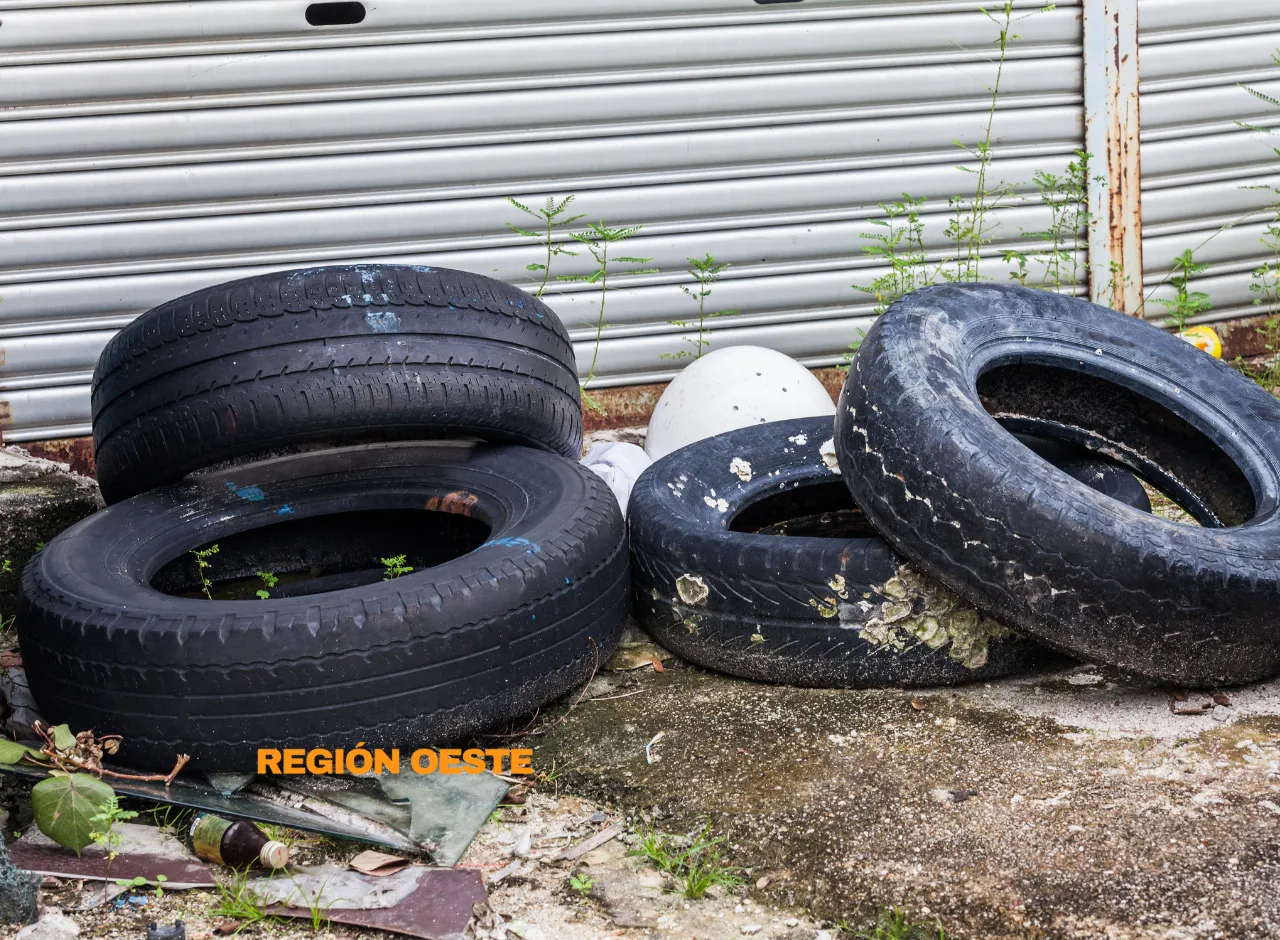 Imagenes Región Oeste