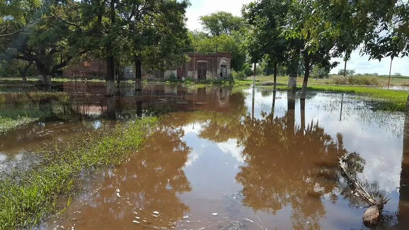 15895152_1392824900735911_7149748742072220859_n