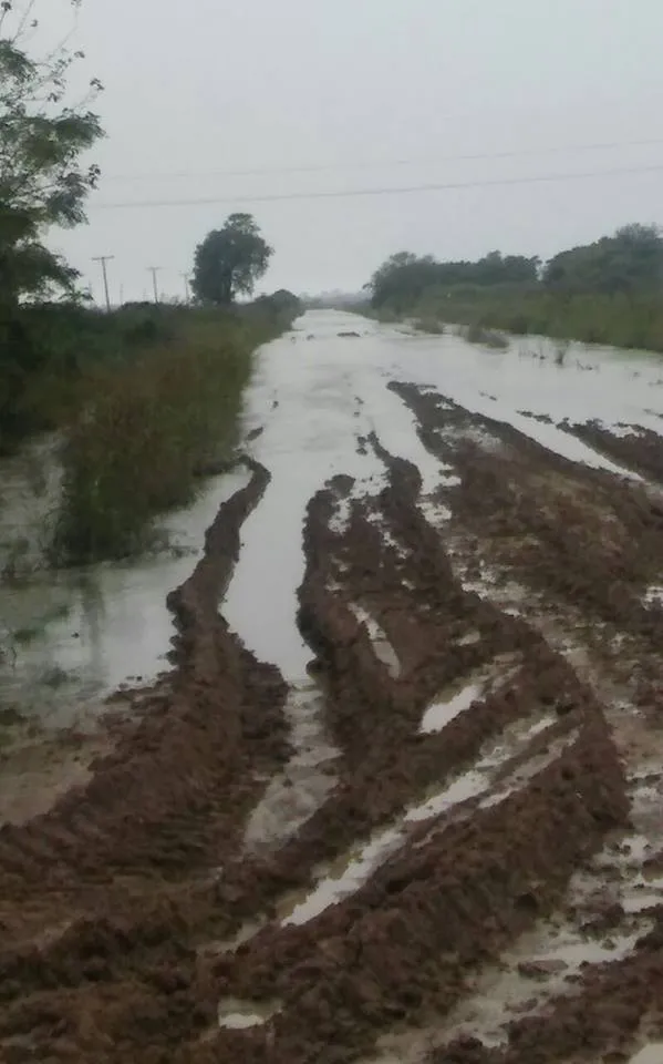 12985615_1126046030789126_7208383035879952064_n