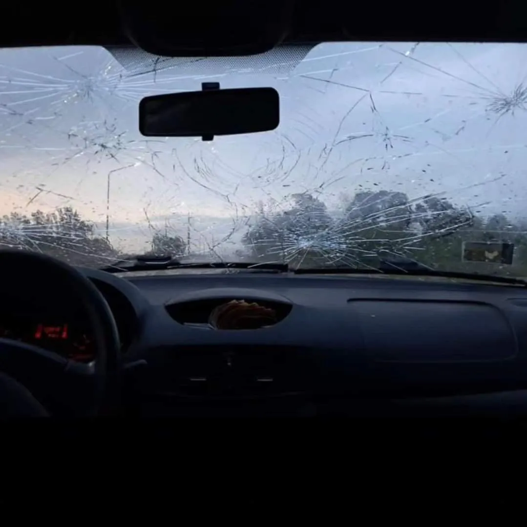 twittervid.com_mariogaloppo_54db98