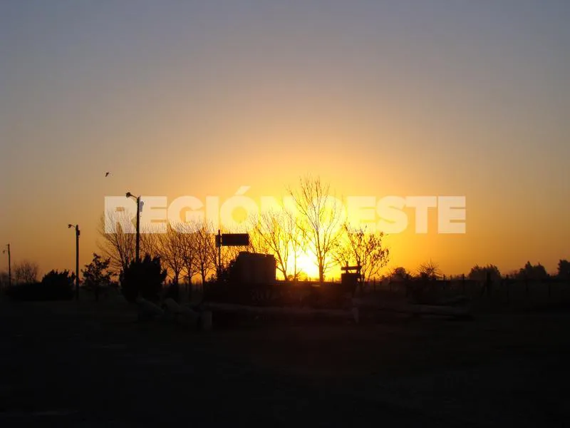 Avenida de los Tamberos