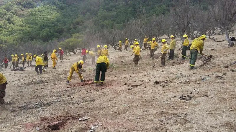 Bomberos santafesinos