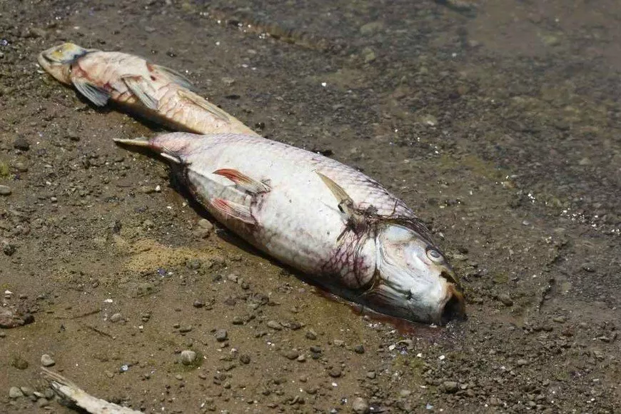 j9Y7n8ZdQ_870x580__1