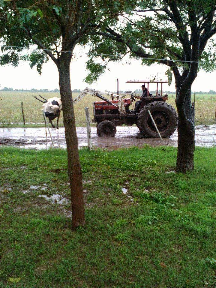 FB_IMG_1460680344792