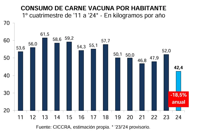 Consumo de carne 2011 2024