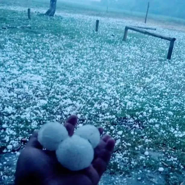 twittervid.com_mariogaloppo_b06b14