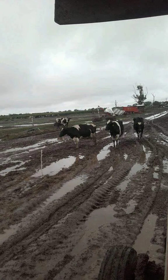 FB_IMG_1460680178821