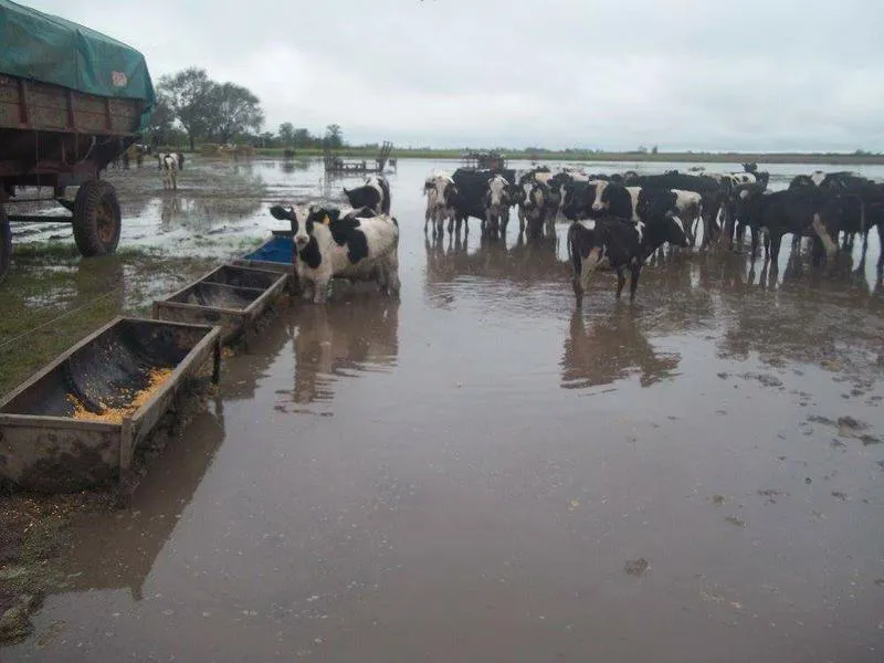 FB_IMG_1460680360259