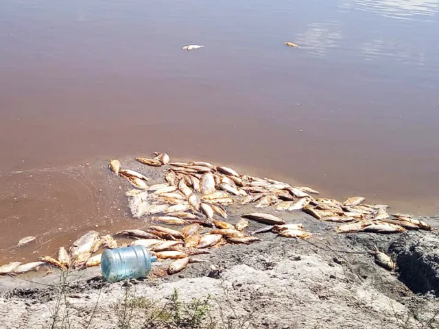 Río Salado Contaminado