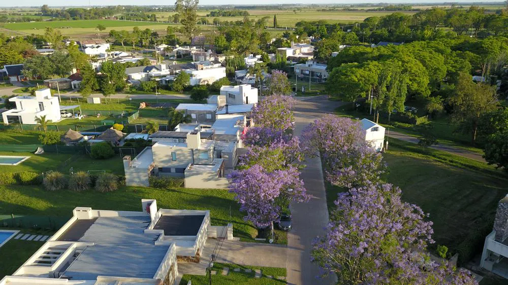 org_2771c42d2243d0df_1542491072000