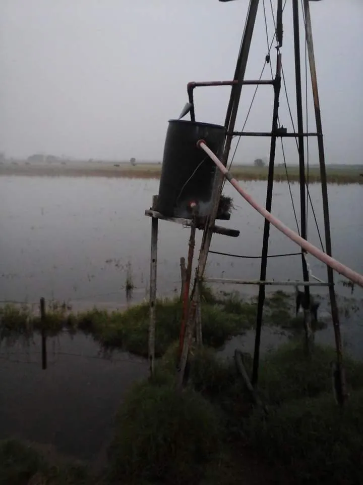 IMG-20160411-WA0010 IMG-20160411-WA0010