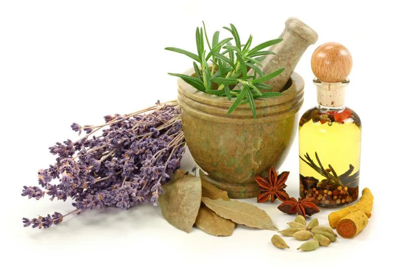 consejos-de-plantas-medicinales