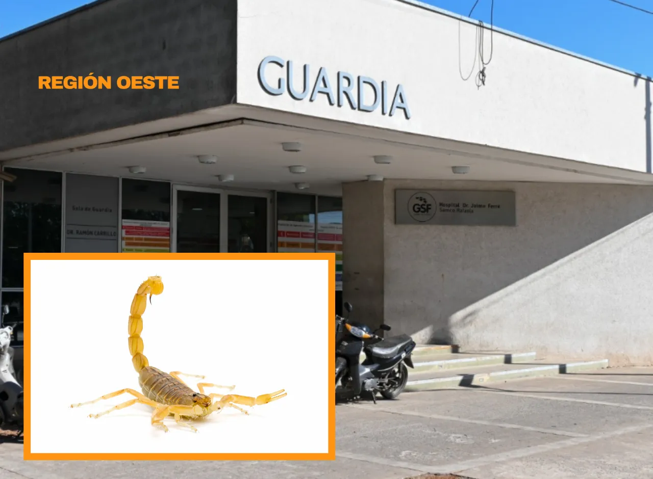 Imagenes Región Oeste