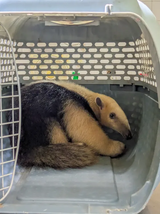 2025-01-25NID_282159O_2