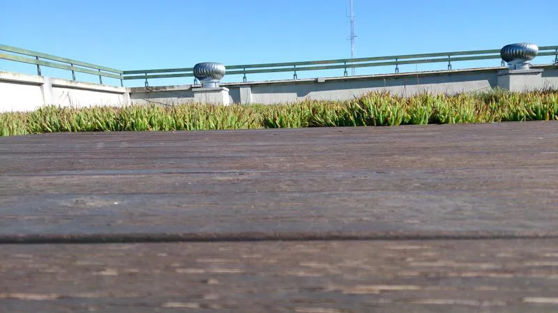 Terraza verde