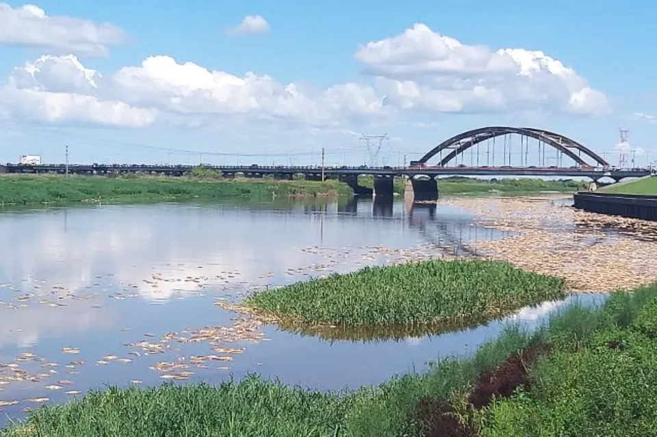 Río Salado Contaminado 2