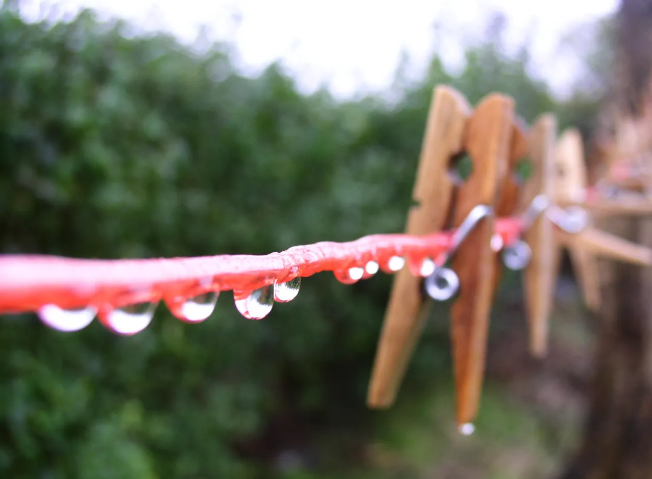 Imagenes Región Oeste